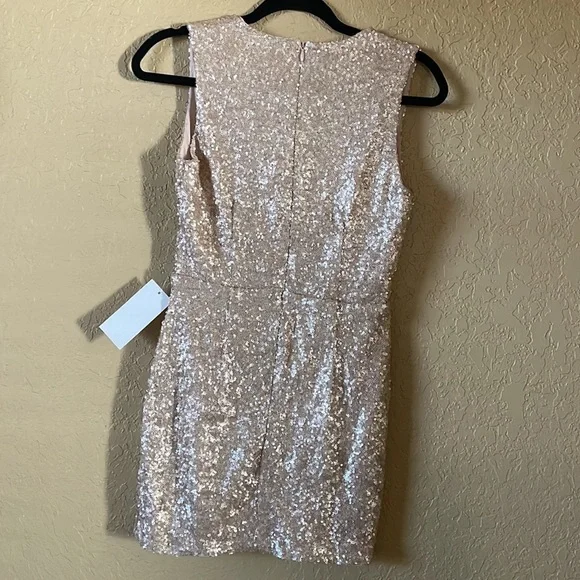 NWT Tobi Champagne Sequin Mini Dress - Picture 6 of 6
